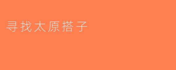 寻找太原搭子
