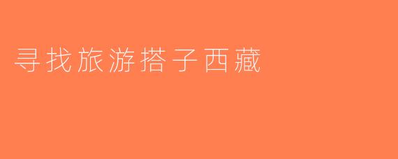 寻找旅游搭子西藏