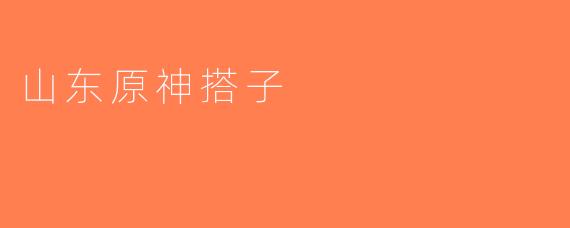 山东原神搭子