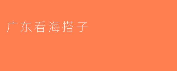 广东看海搭子
