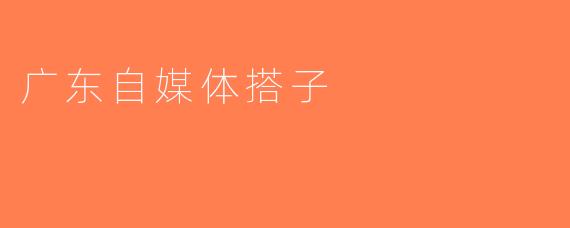 广东自媒体搭子