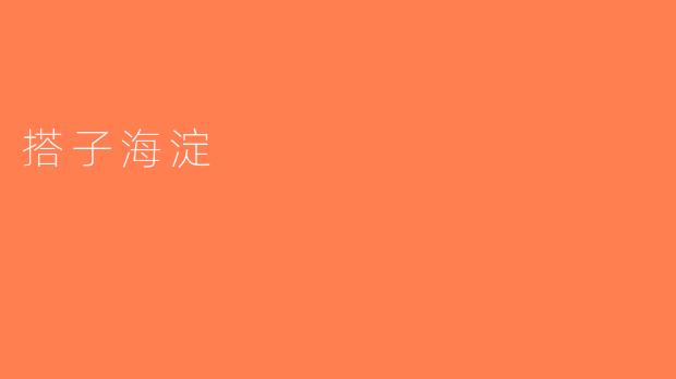 搭子海淀