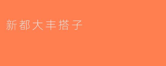 新都大丰搭子