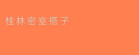 桂林密室搭子