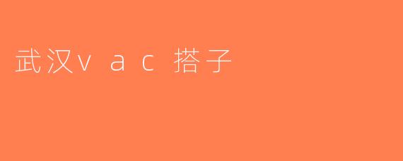 武汉vac搭子