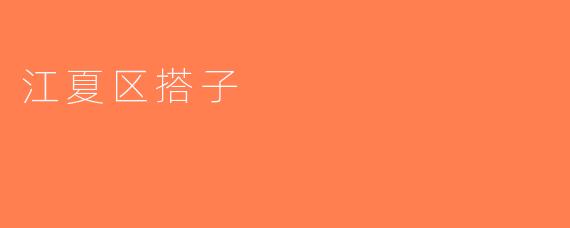 江夏区搭子
