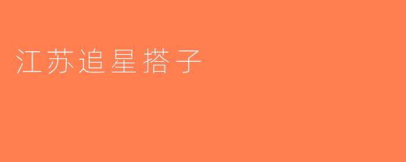 江苏追星搭子