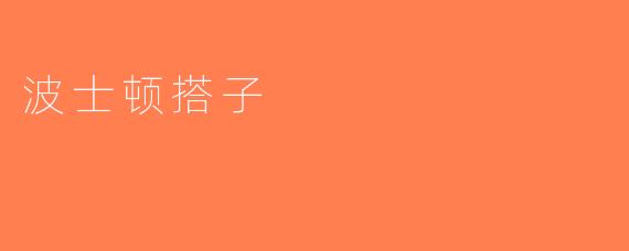 波士顿搭子
