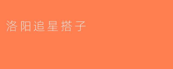 洛阳追星搭子