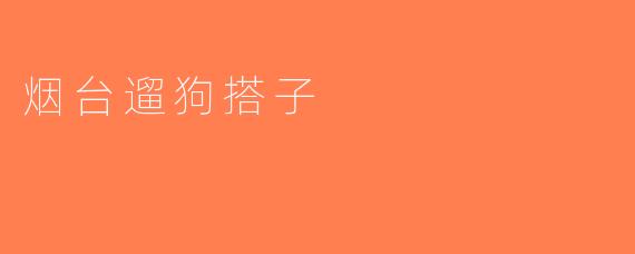 烟台遛狗搭子