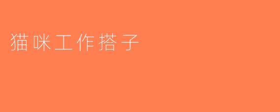 猫咪工作搭子