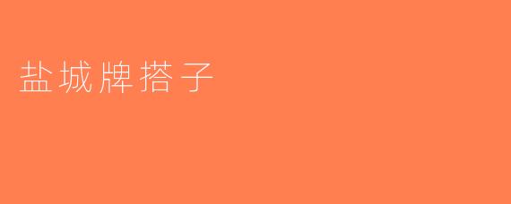 盐城牌搭子