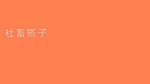 社畜搭子