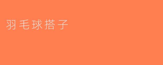 羽毛球搭子