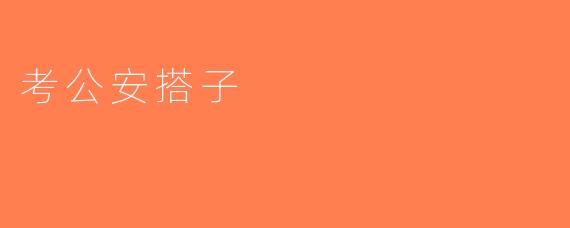 考公安搭子