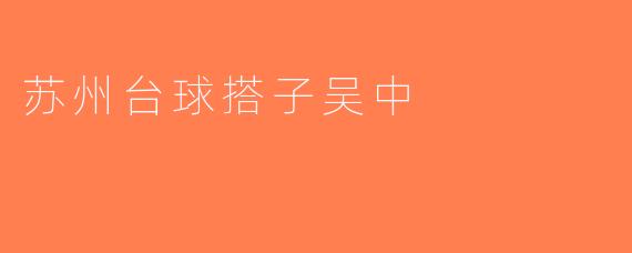 苏州台球搭子吴中