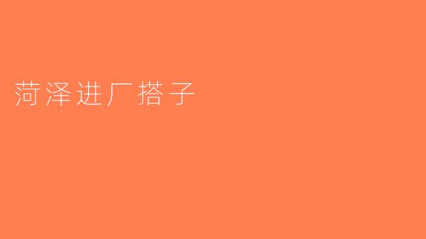 菏泽进厂搭子