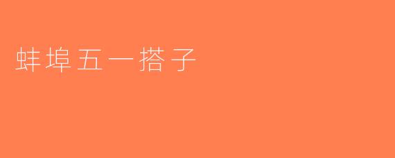 蚌埠五一搭子