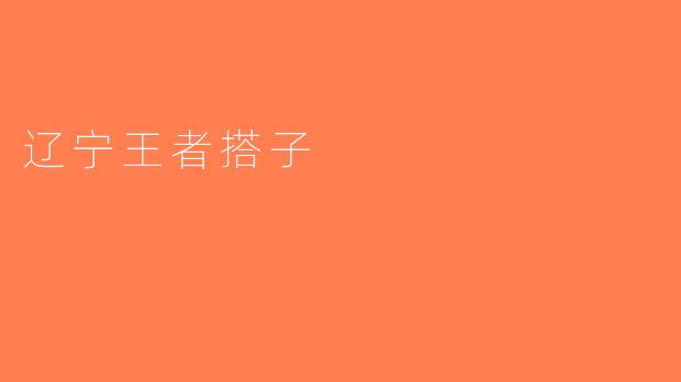 辽宁王者搭子