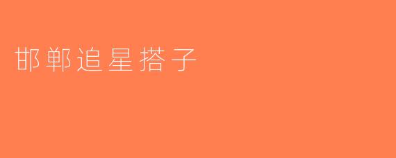 邯郸追星搭子