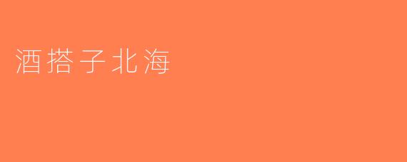 酒搭子北海