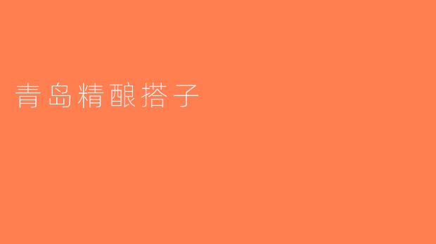 青岛精酿搭子