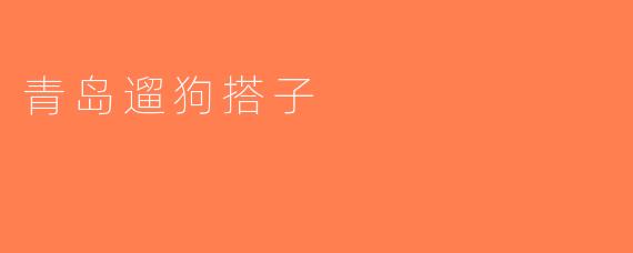 青岛遛狗搭子