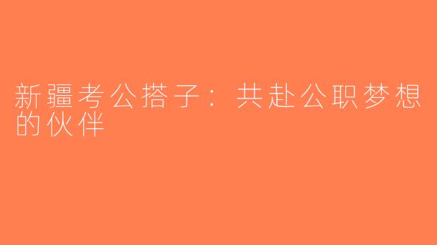 新疆考公搭子：共赴公职梦想的伙伴