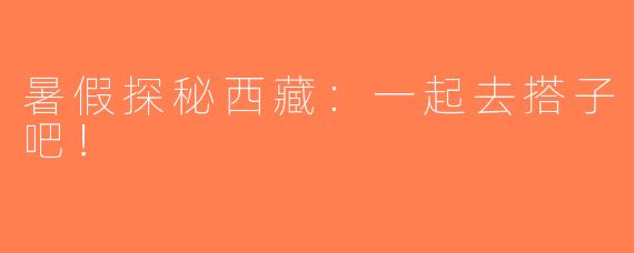 暑假探秘西藏：一起去搭子吧！