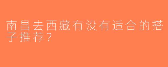 南昌去西藏有没有适合的搭子推荐？