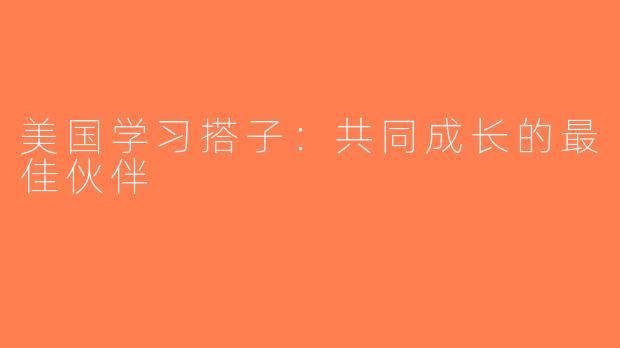 美国学习搭子：共同成长的最佳伙伴