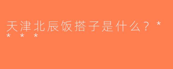 天津北辰饭搭子是什么？****