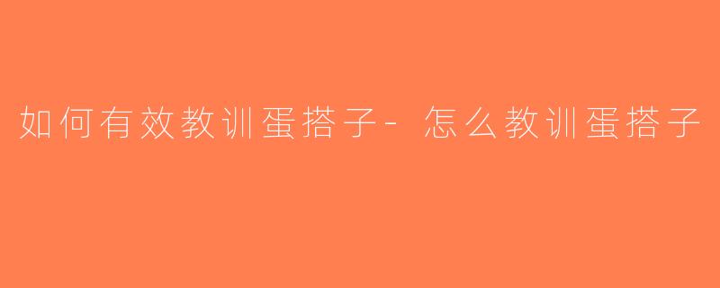 如何有效教训蛋搭子-怎么教训蛋搭子