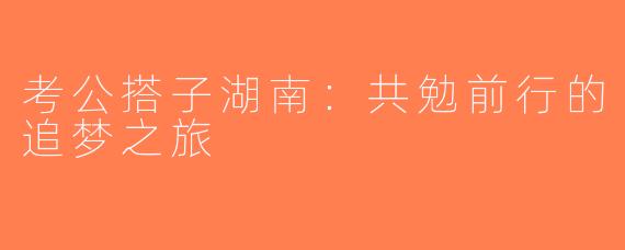 考公搭子湖南：共勉前行的追梦之旅