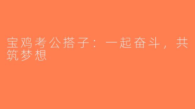 宝鸡考公搭子：一起奋斗，共筑梦想