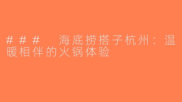 ### 海底捞搭子杭州：温暖相伴的火锅体验