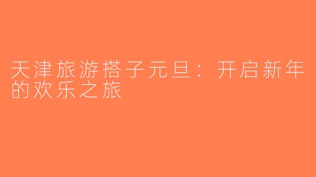 天津旅游搭子元旦：开启新年的欢乐之旅