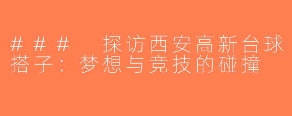 ### 探访西安高新台球搭子：梦想与竞技的碰撞