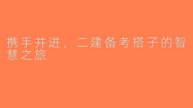 携手并进，二建备考搭子的智慧之旅