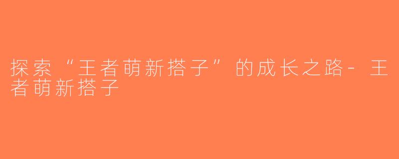 探索“王者萌新搭子”的成长之路-王者萌新搭子