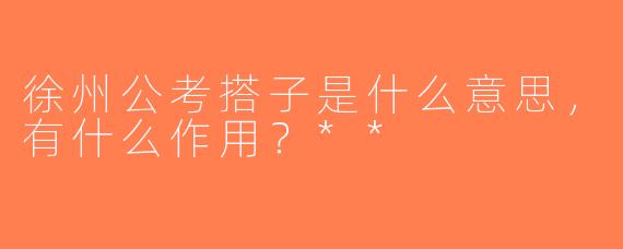 徐州公考搭子是什么意思，有什么作用？**
