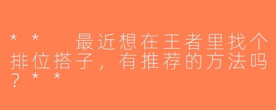 ** 最近想在王者里找个排位搭子，有推荐的方法吗？**