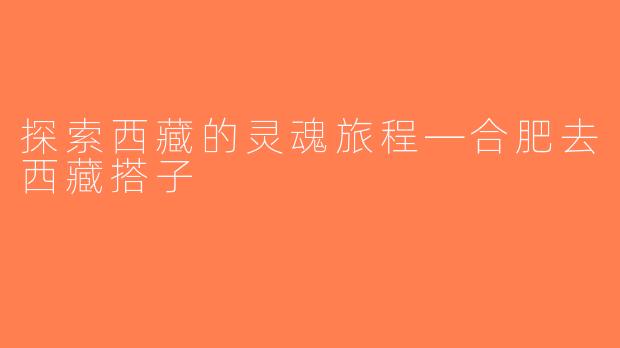 探索西藏的灵魂旅程—合肥去西藏搭子