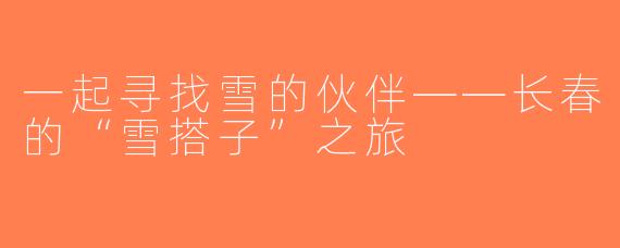 一起寻找雪的伙伴——长春的“雪搭子”之旅