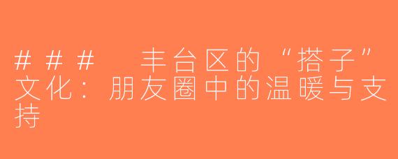 ### 丰台区的“搭子”文化：朋友圈中的温暖与支持