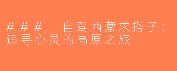 ### 自驾西藏求搭子：追寻心灵的高原之旅