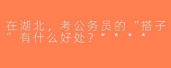 在湖北，考公务员的“搭子”有什么好处？****