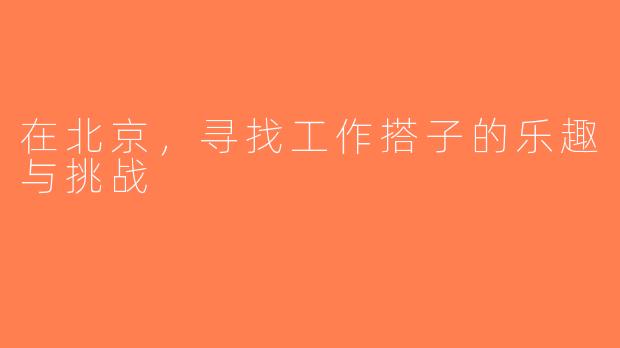 在北京，寻找工作搭子的乐趣与挑战