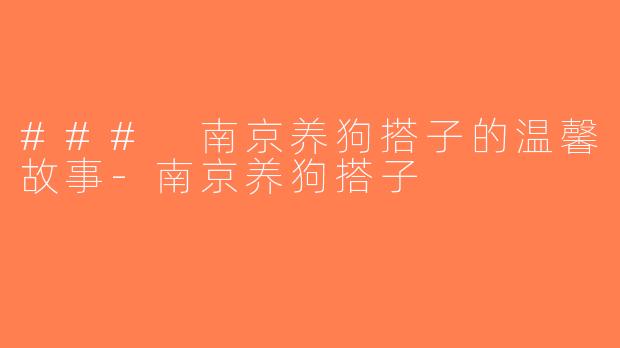 ### 南京养狗搭子的温馨故事-南京养狗搭子
