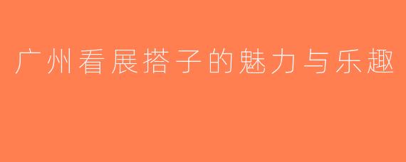 广州看展搭子的魅力与乐趣